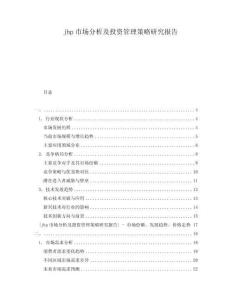 jhp市場分析及投資管理策略研究報告