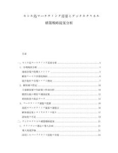 セシル島マーケティング需要とデジタルチャネル構築戦略提案分析