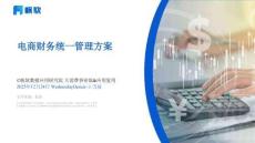 2025年電商財務(wù)統(tǒng)一管理方案報告-帆軟