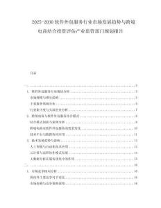 2025-2030軟件外包服務(wù)行業(yè)市場發(fā)展趨勢與跨境電商結(jié)合投資評估產(chǎn)業(yè)監(jiān)管部門規(guī)劃報告