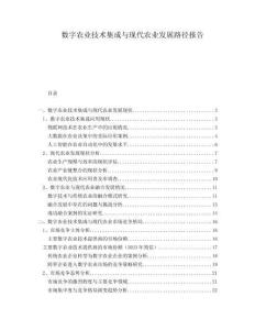數(shù)字農(nóng)業(yè)技術(shù)集成與現(xiàn)代農(nóng)業(yè)發(fā)展路徑報告