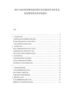 2025-2030歐美鋰電池回收行業(yè)市場(chǎng)競(jìng)爭(zhēng)分析及未來(lái)發(fā)展投資布局評(píng)估報(bào)告