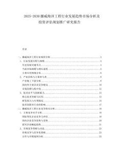 2025-2030挪威海洋工程行業(yè)發(fā)展趨勢(shì)市場(chǎng)分析及投資評(píng)估規(guī)劃推廣研究報(bào)告