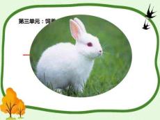 五上第三單元第一課《兔籠的搭建》