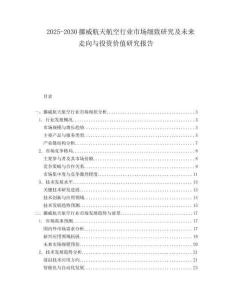 2025-2030挪威航天航空行業(yè)市場細致研究及未來走向與投資價值研究報告