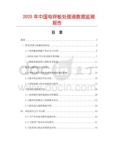 2025年中國電鋅板處理液數據監測報告