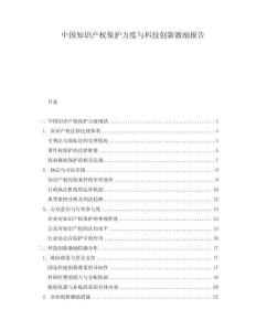 中國知識產(chǎn)權(quán)保護(hù)力度與科技創(chuàng)新激勵報告