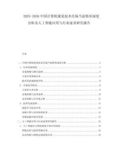 2025-2030中國(guó)計(jì)算機(jī)視覺(jué)技術(shù)市場(chǎng)當(dāng)前情形深度分析及人工智能應(yīng)用與行業(yè)前景研究報(bào)告