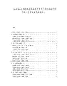 2025-2030歐美電競電競電競電競行業(yè)市場現(xiàn)狀評估及投資發(fā)展策略研究報告
