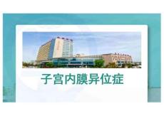 子宮內(nèi)膜異位癥PPT