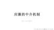 應激的中介機制