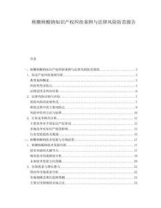 核糖核酸鈉知識(shí)產(chǎn)權(quán)糾紛案例與法律風(fēng)險(xiǎn)防范報(bào)告