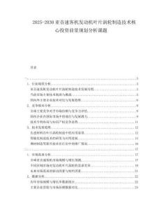 2025-2030亞音速客機發動機葉片渦輪制造技術核心投資前景規劃分析課題