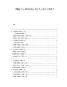 老齡化產(chǎn)業(yè)投資風(fēng)險(xiǎn)分析及嘗試融資規(guī)劃報(bào)告