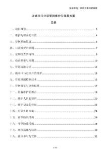 老城雨污分流管網(wǎng)維護(hù)與保養(yǎng)方案