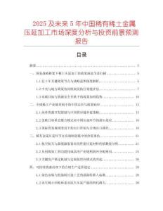 2025及未來5年中國稀有稀土金屬壓延加工市場深度分析與投資前景預(yù)測報告