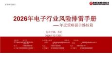 2026年電子行業(yè)風(fēng)險(xiǎn)排雷手冊(cè)：年度策略報(bào)告姊妹篇