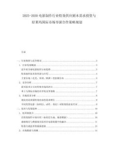2025-2030電影制作行業特效供應劇本需求投資與好萊塢國際市場導演合作策略規劃