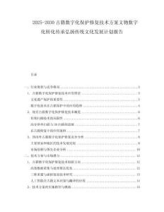 2025-2030古籍數字化保護修復技術方案文物數字化轉化傳承弘揚傳統文化發展計劃報告