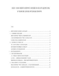 2025-2030德國互聯(lián)網(wǎng)行業(yè)創(chuàng)新企業(yè)競爭態(tài)勢市場擴張政策支持技術(shù)發(fā)展前景研判