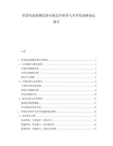 管道電波探測儀器市場競爭壁壘與差異化戰略制定報告