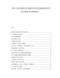 2025-2030波斯尼亞金融科技行業(yè)發(fā)展現(xiàn)狀競爭分析及投資評估規(guī)劃報告