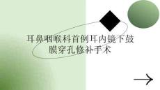 耳鼻咽喉科首例耳內鏡下鼓膜穿孔修補手術(2026版)