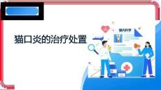 《貓病防治技術》課件——第33講 貓口炎的治療處置