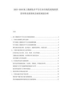 2025-2030海上勘探鉆井平臺(tái)行業(yè)市場(chǎng)發(fā)展現(xiàn)狀供需形勢(shì)及投資機(jī)會(huì)深度規(guī)劃分析