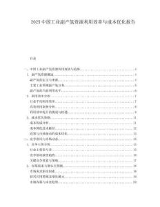 2025中國工業副產氫資源利用效率與成本優化報告
