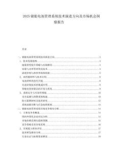 2025儲能電池管理系統技術演進方向及市場機會洞察報告