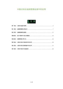 對象識別在遙感圖像處理中的應(yīng)用