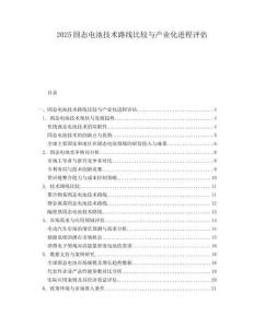 2025固態(tài)電池技術(shù)路線比較與產(chǎn)業(yè)化進(jìn)程評(píng)估