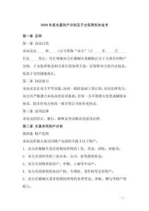 2026年度夫妻财产分割及子女抚养权协议书