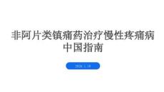 非阿片類鎮(zhèn)痛藥治療慢性疼痛病中國指南