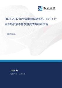 2026-2032年中國電動(dòng)車輛系統(tǒng)（EVS）行業(yè)市場(chǎng)發(fā)展態(tài)勢(shì)及投資戰(zhàn)略研判報(bào)告