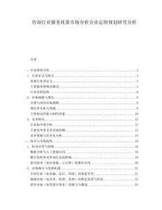 咨詢行業(yè)服務質量市場分析企業(yè)定制規(guī)劃研究分析