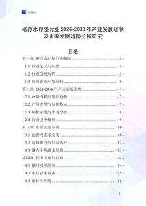磁療水療墊行業2026-2030年產業發展現狀及未來發展趨勢分析研究