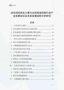 羽毛球拍揮擊力量與擊球弧線控制行業產業發展現狀及未來發展趨勢分析研究