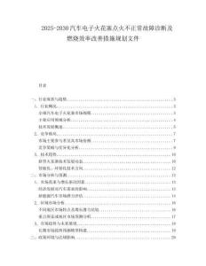 2025-2030汽車電子火花塞點火不正常故障診斷及燃燒效率改善措施規劃文件