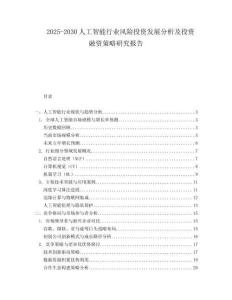 2025-2030人工智能行業(yè)風(fēng)險(xiǎn)投資發(fā)展分析及投資融資策略研究報(bào)告