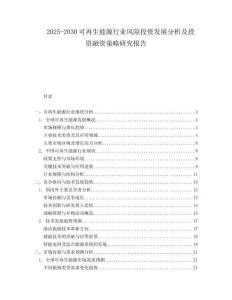 2025-2030可再生能源行業(yè)風(fēng)險(xiǎn)投資發(fā)展分析及投資融資策略研究報(bào)告