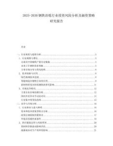 2025-2030鋼鐵冶煉行業(yè)投資風(fēng)險(xiǎn)分析及融資策略研究報(bào)告