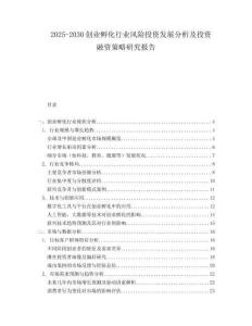 2025-2030創(chuàng)業(yè)孵化行業(yè)風(fēng)險(xiǎn)投資發(fā)展分析及投資融資策略研究報(bào)告