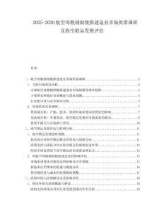 2025-2030航空母艦輔助艦船建造業(yè)市場供需調(diào)研及?？章?lián)運發(fā)展評估
