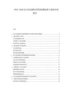2025-2030動力電池梯次利用檢測標(biāo)準(zhǔn)與殘值評估報(bào)告