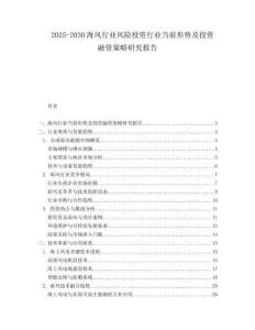 2025-2030海風行業(yè)風險投資行業(yè)當前形勢及投資融資策略研究報告