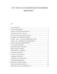 2025-2030電力行業(yè)風險投資發(fā)展分析及投資融資策略研究報告