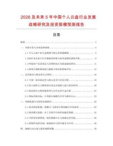 2026及未來5年中國個人云盤行業發展戰略研究及投資規模預測報告