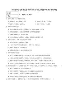 四川省攀枝花市鹽邊縣2024-2025學(xué)年九年級(jí)上學(xué)期期末物理試題